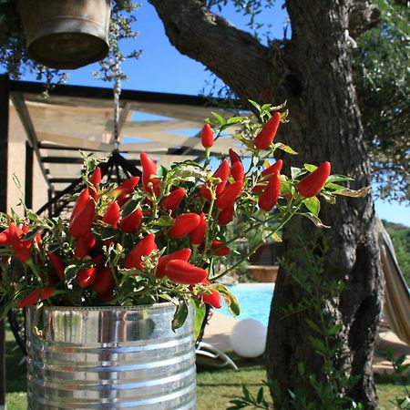 Il Podere Dell'Angelo Old Country House Belvedere Marittimo Dış mekan fotoğraf
